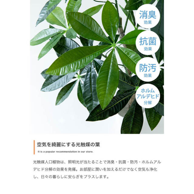 フェイクグリーン