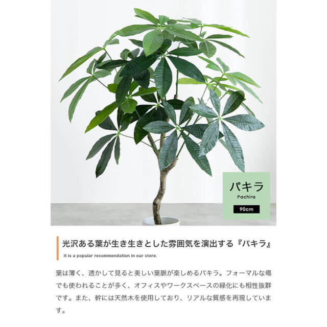 フェイクグリーン