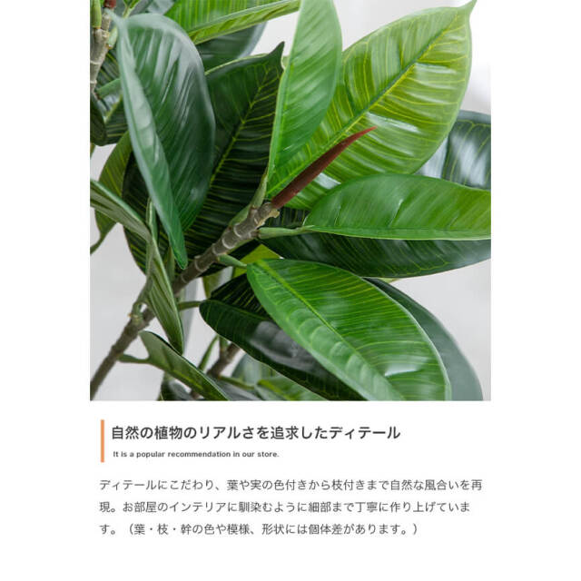 フェイクグリーン
