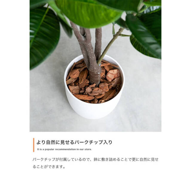 フェイクグリーン
