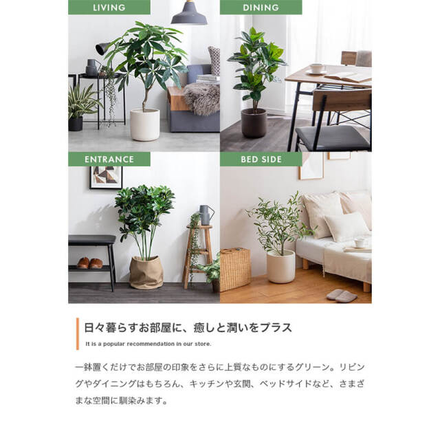 フェイクグリーン