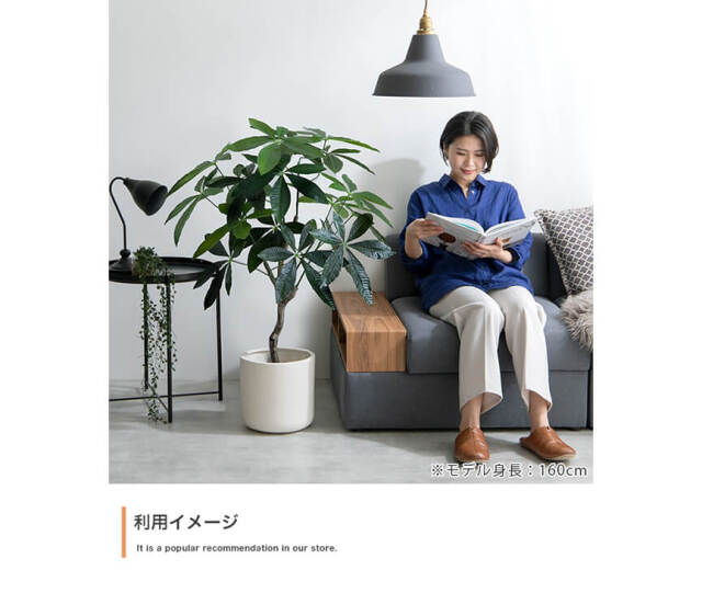フェイクグリーン