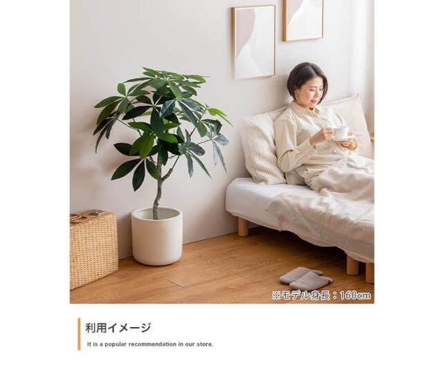 フェイクグリーン