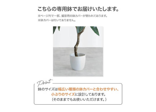 フェイクグリーン