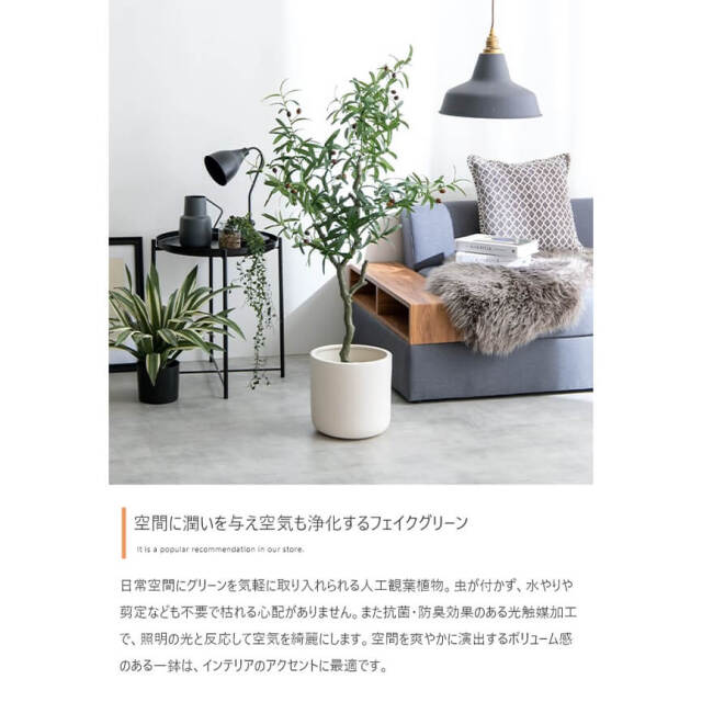 フェイクグリーン