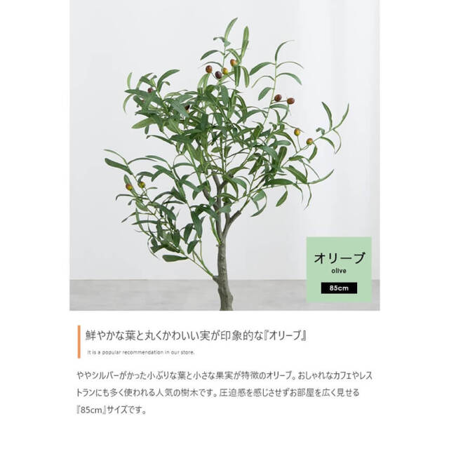 フェイクグリーン