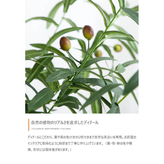 フェイクグリーン