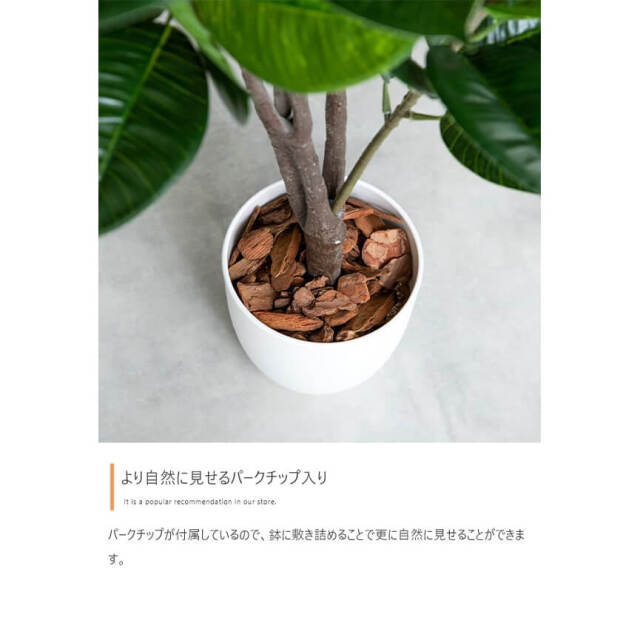 フェイクグリーン