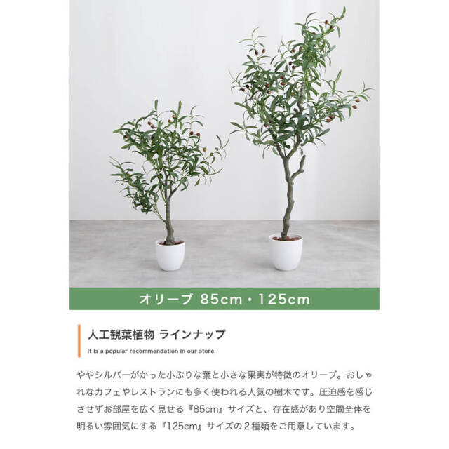 フェイクグリーン