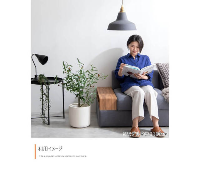 フェイクグリーン