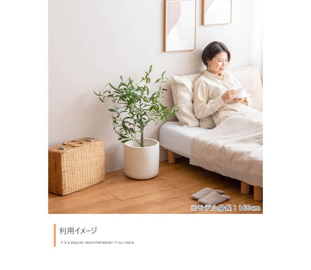 フェイクグリーン