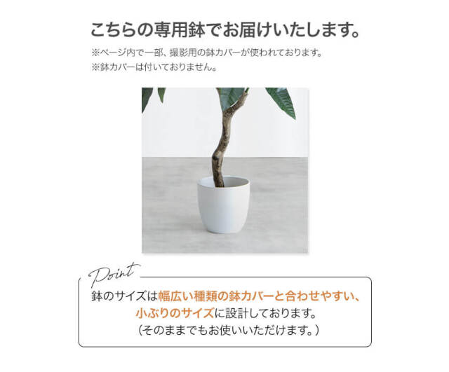フェイクグリーン