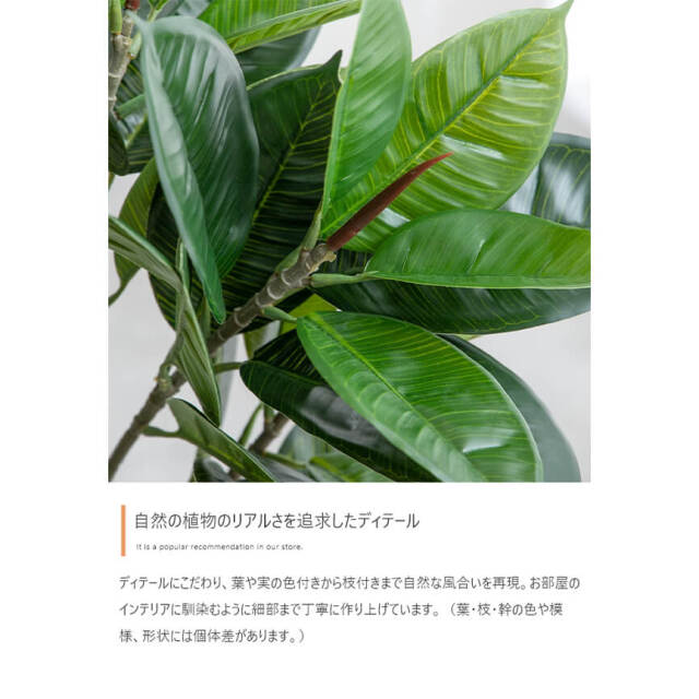フェイクグリーン