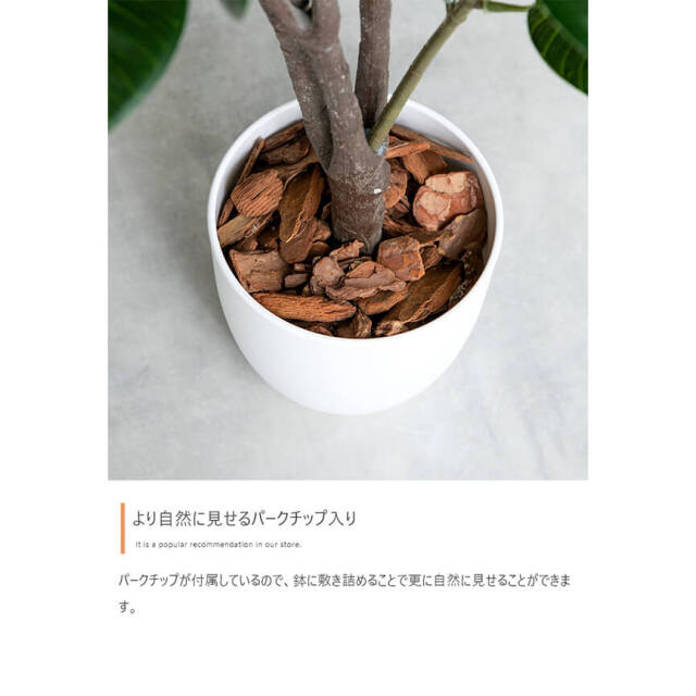 フェイクグリーン