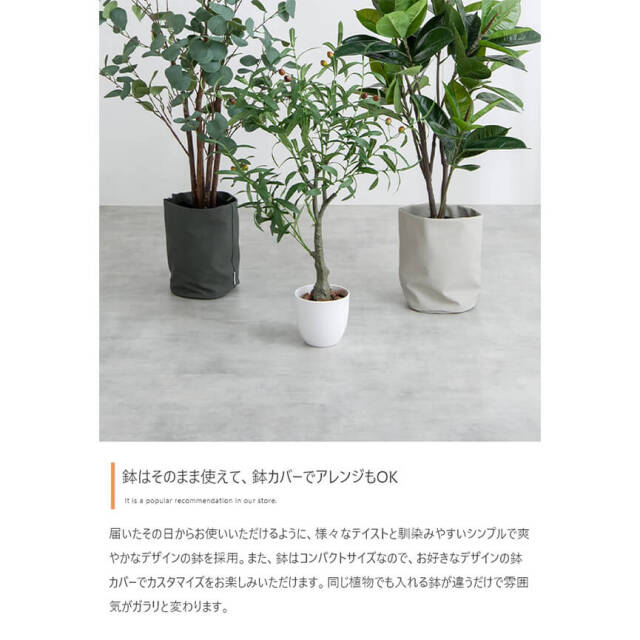 フェイクグリーン