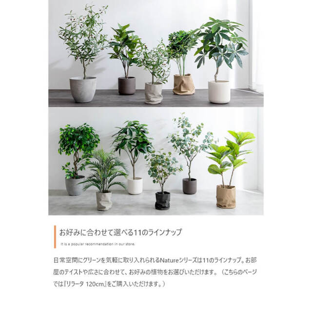 フェイクグリーン