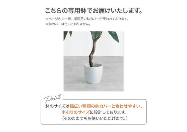 フェイクグリーン