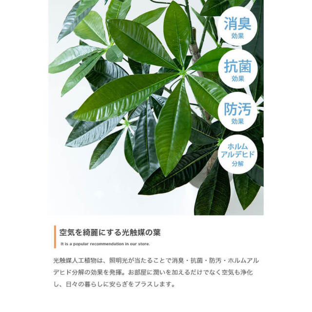 フェイクグリーン