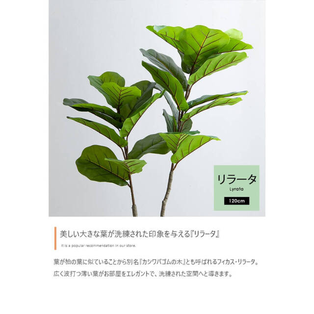 フェイクグリーン