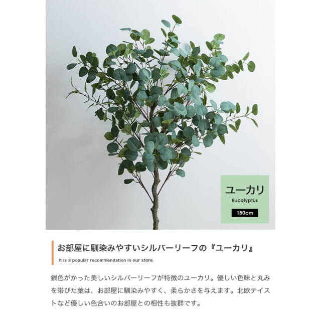 Botanica（ボタニカ）フェイクグリーン ユーカリ