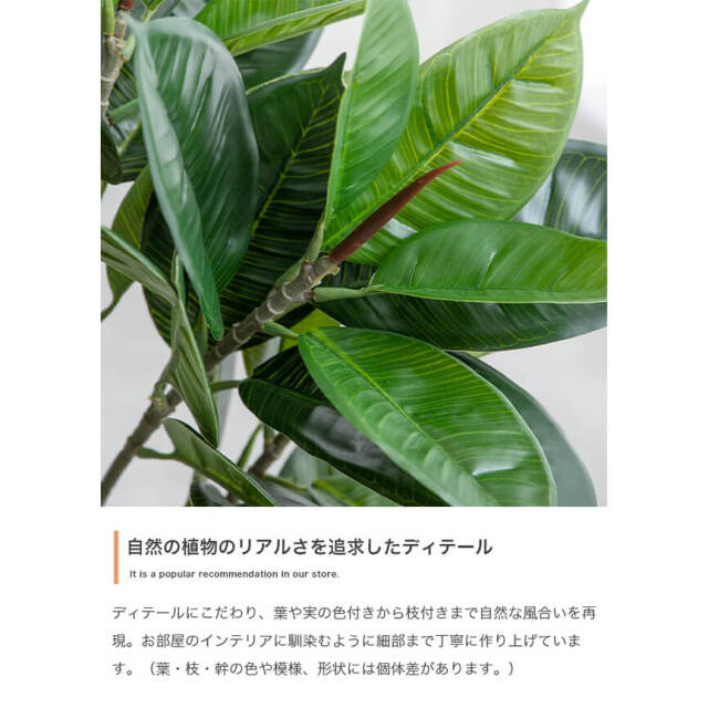 フェイクグリーン
