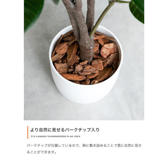 フェイクグリーン