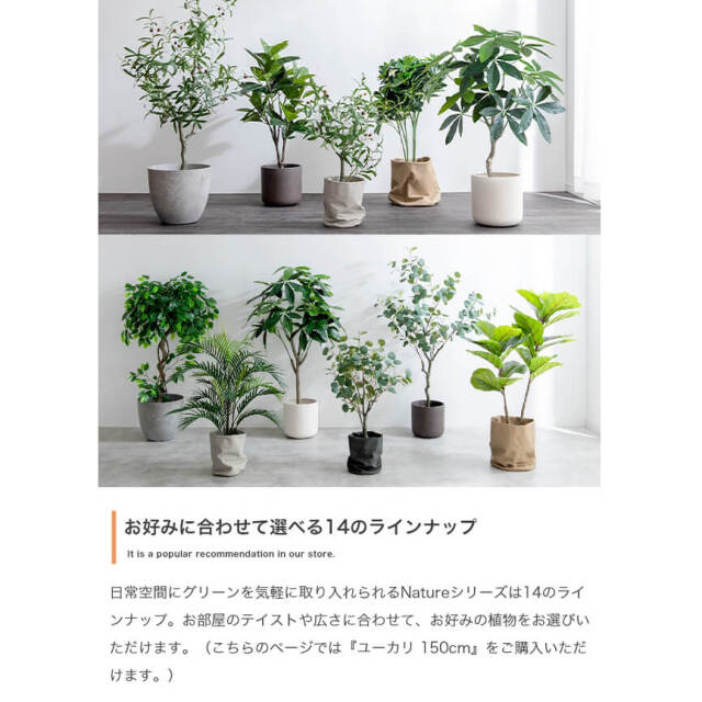 フェイクグリーン　ユーカリ フェイクグリーン「ユーカリの木」｜インテリア・DIY用品 友安製作所