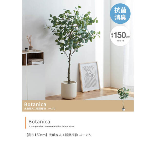 Botanica（ボタニカ）フェイクグリーン ユーカリ