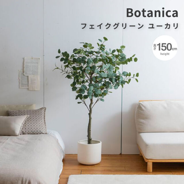 Botanica（ボタニカ）フェイクグリーン ユーカリ