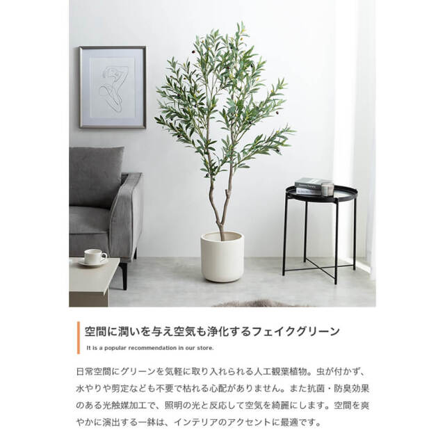 フェイクグリーン