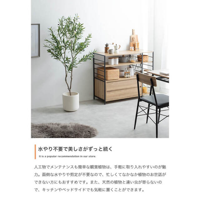 フェイクグリーン
