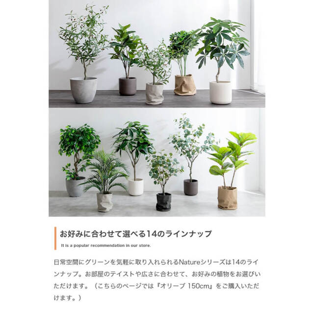 フェイクグリーン