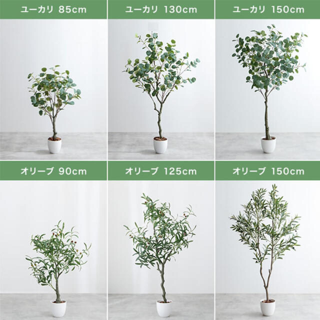 Botanica（ボタニカ） フェイクグリーン オリーブ