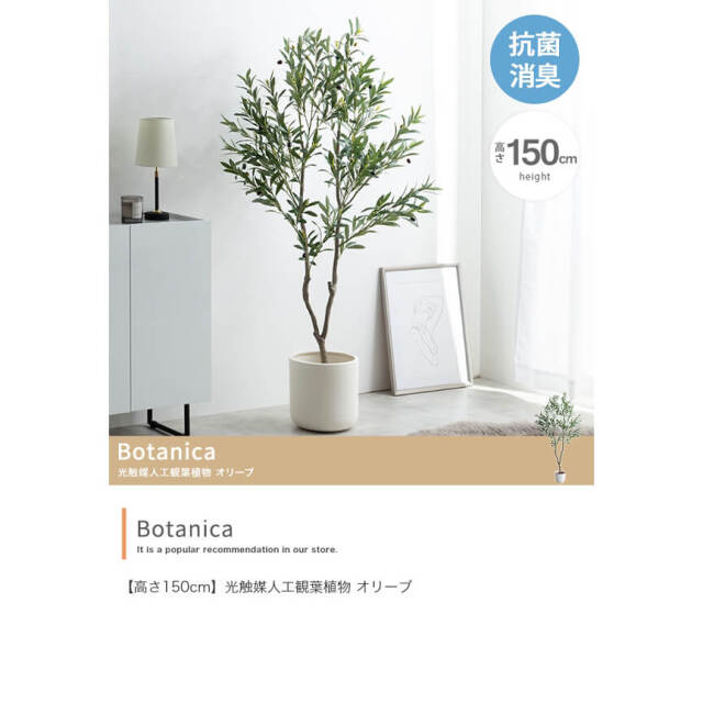 Botanica（ボタニカ） フェイクグリーン オリーブ