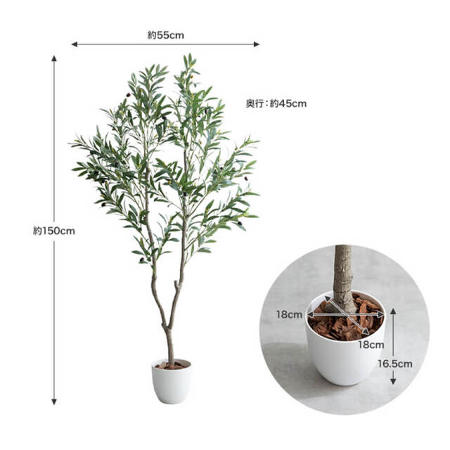 Botanica（ボタニカ） フェイクグリーン オリーブ