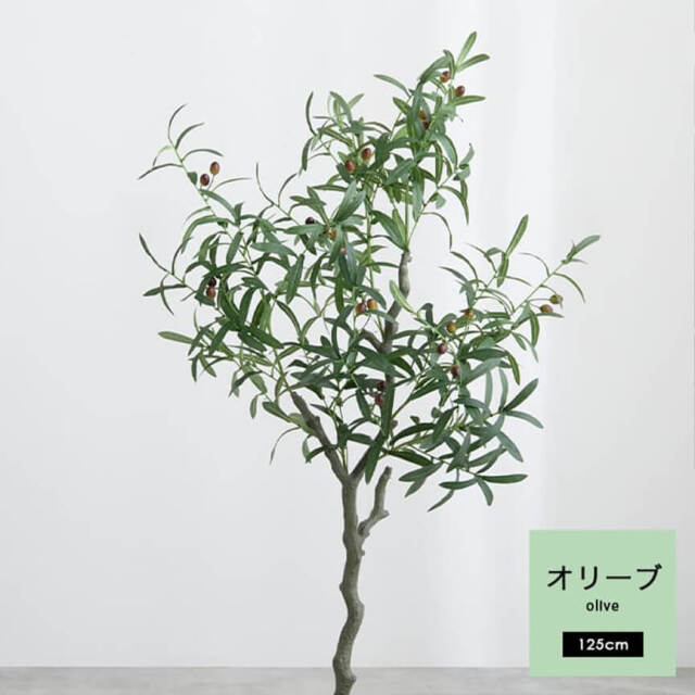 ダイニングチェア