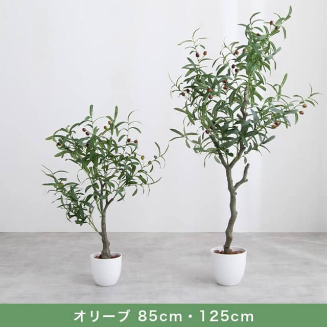 ダイニングチェア