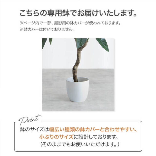 フェイクグリーン