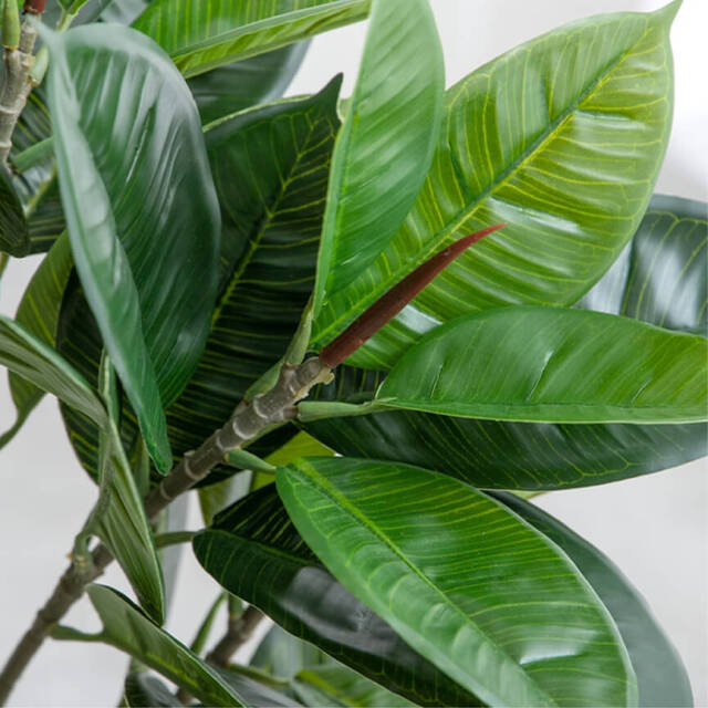 フェイクグリーン