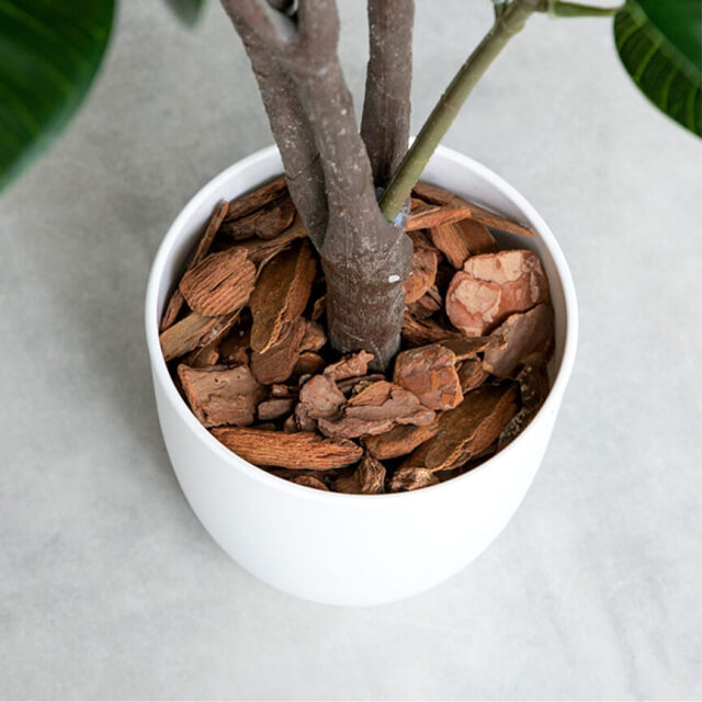 フェイクグリーン