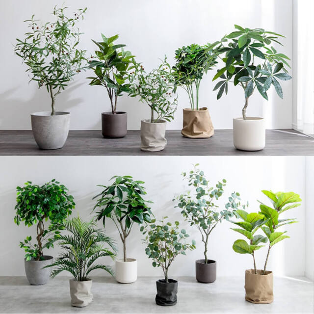 光触媒　人工観葉植物　フェイクグリーン　アレカヤシmwtj Botanica（ボタニカ） フェイクグリーン アレカヤシ