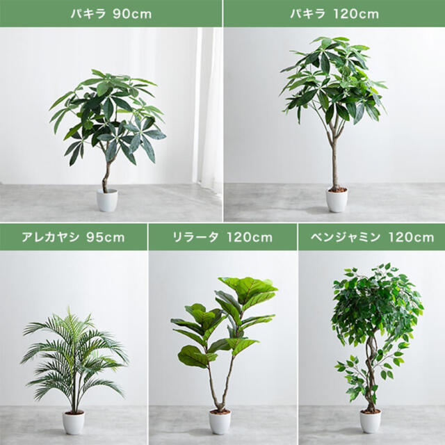 フェイクグリーン