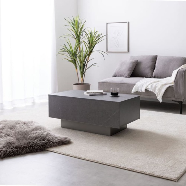 Pilato （ピラト） 引き出し付きセンターテーブル