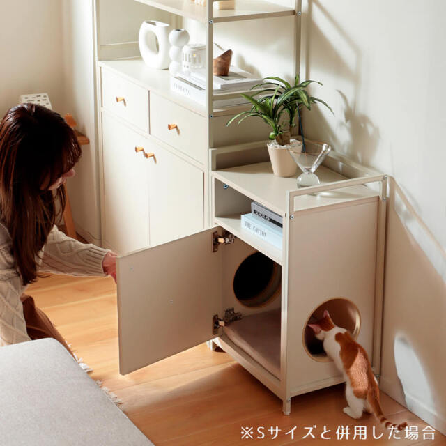 キャットウォーク