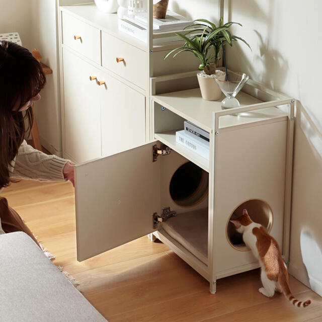 キャットウォーク