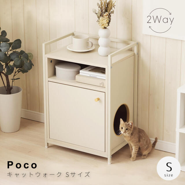 キャットウォーク