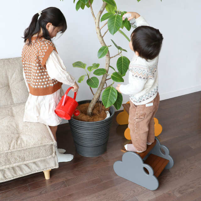 キッズステップ