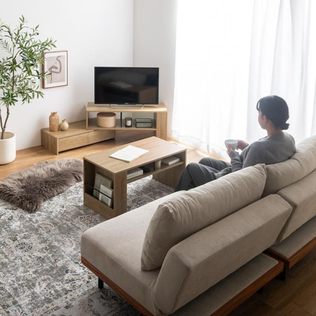 Sophia （ソフィア） 伸縮テレビ台
