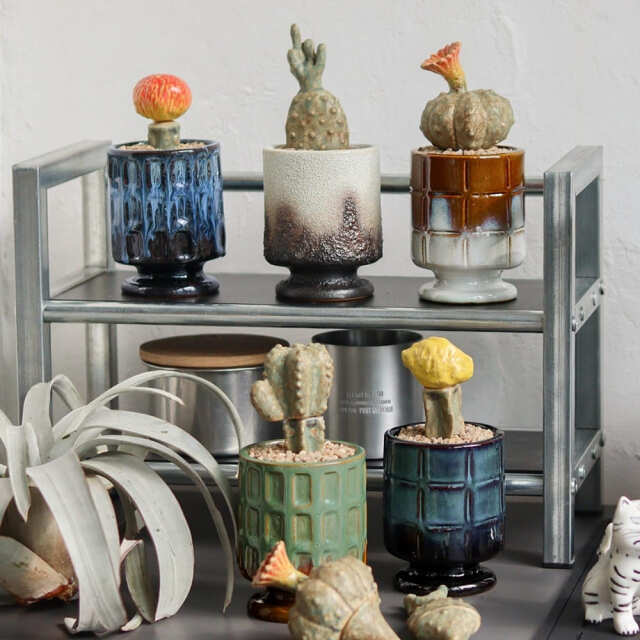 POST GENERAL(ポストジェネラル) ザ カクティポット (5種類)