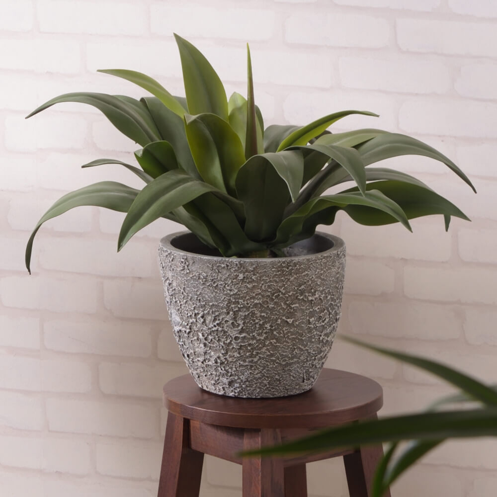 Lude（ルード）　グリーンベース